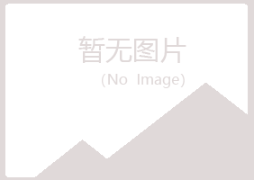 日照岚山代曼机械有限公司